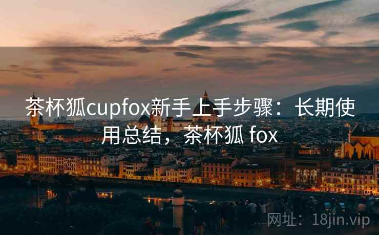 茶杯狐cupfox新手上手步骤：长期使用总结，茶杯狐 fox