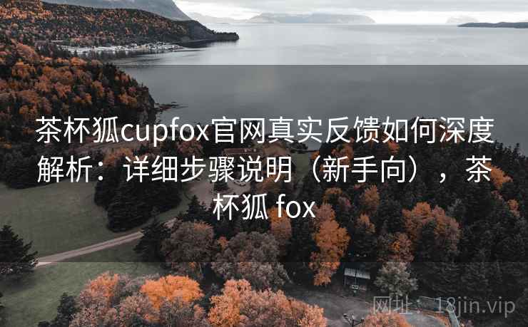 茶杯狐cupfox官网真实反馈如何深度解析：详细步骤说明（新手向），茶杯狐 fox