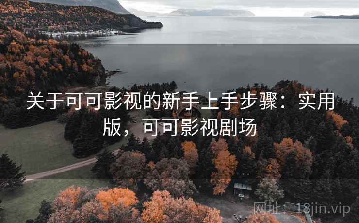 关于可可影视的新手上手步骤：实用版，可可影视剧场