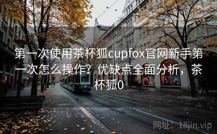 第一次使用茶杯狐cupfox官网新手第一次怎么操作？优缺点全面分析，茶杯狐0