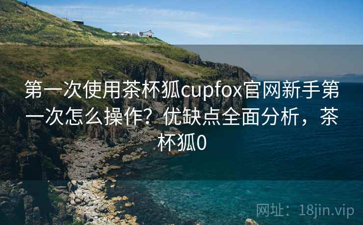 第一次使用茶杯狐cupfox官网新手第一次怎么操作？优缺点全面分析，茶杯狐0