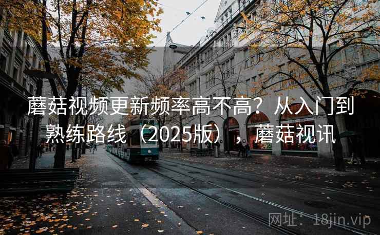蘑菇视频更新频率高不高？从入门到熟练路线（2025版），蘑菇视讯